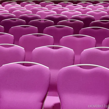 里尔大体育场丽笙公园酒店 4*